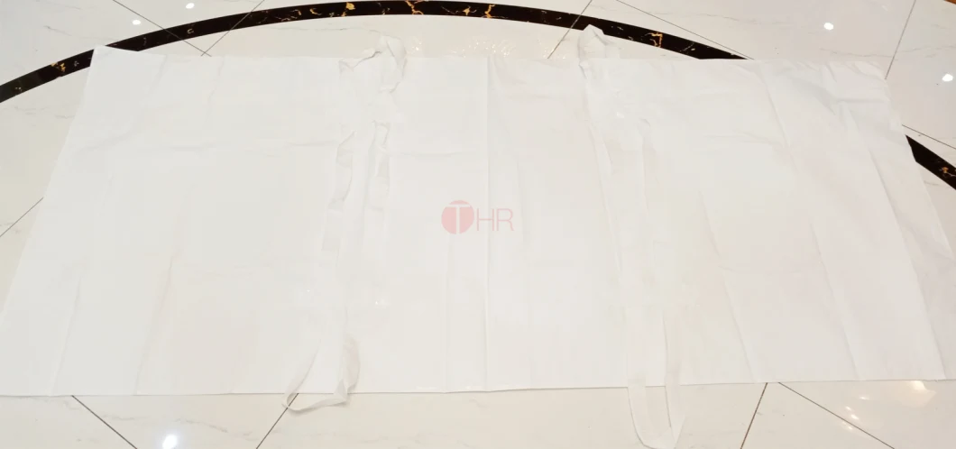Funeral Products Disposable Death Body Bags Adult Mortuary Cadaver Body Bags for Corpse Storage (THR-600)