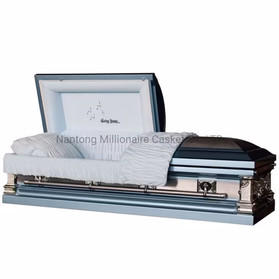 Js-Sc011 Professional Velvet Interior Metal Casket